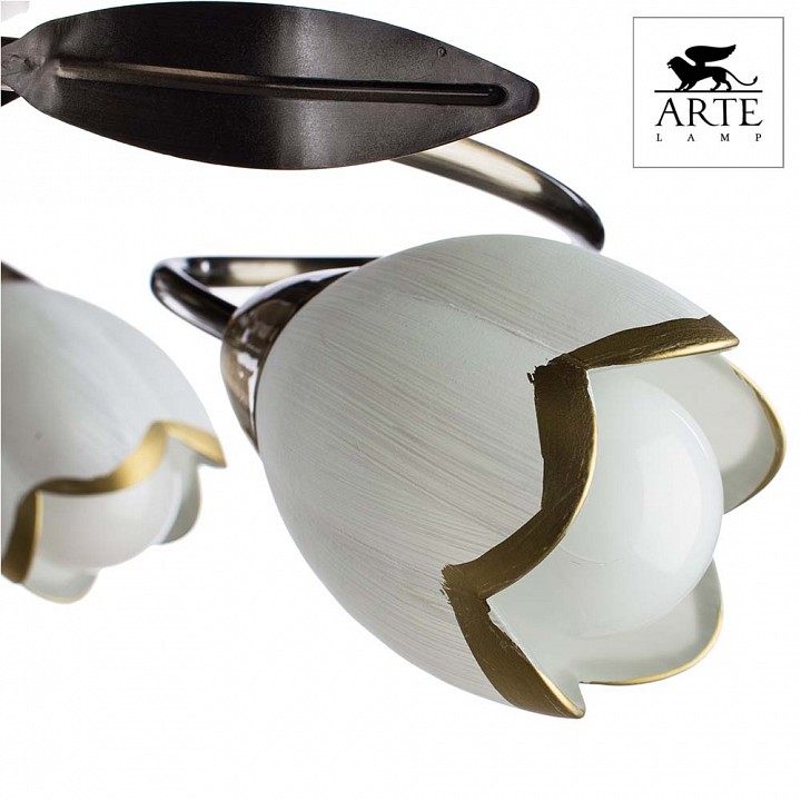Фото 4 Потолочная люстра - A6061PL-6AB - Arte Lamp Фото 4 Потолочная люстра A6061PL-6AB в стиле флористика