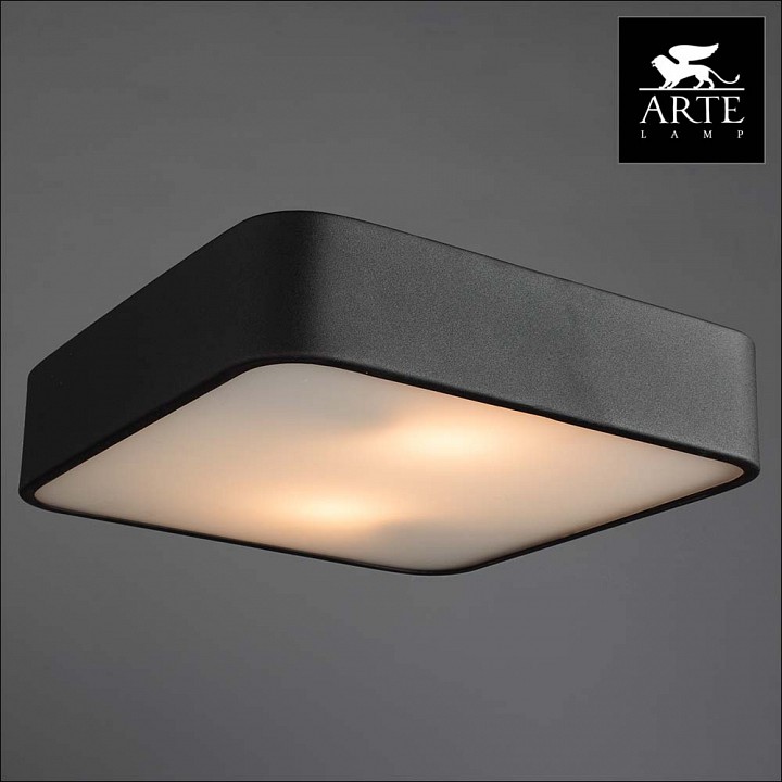 Фото 3 Накладной светильник - A7210PL-2BK - Arte Lamp Фото 3 Накладной светильник A7210PL-2BK в стиле модерн