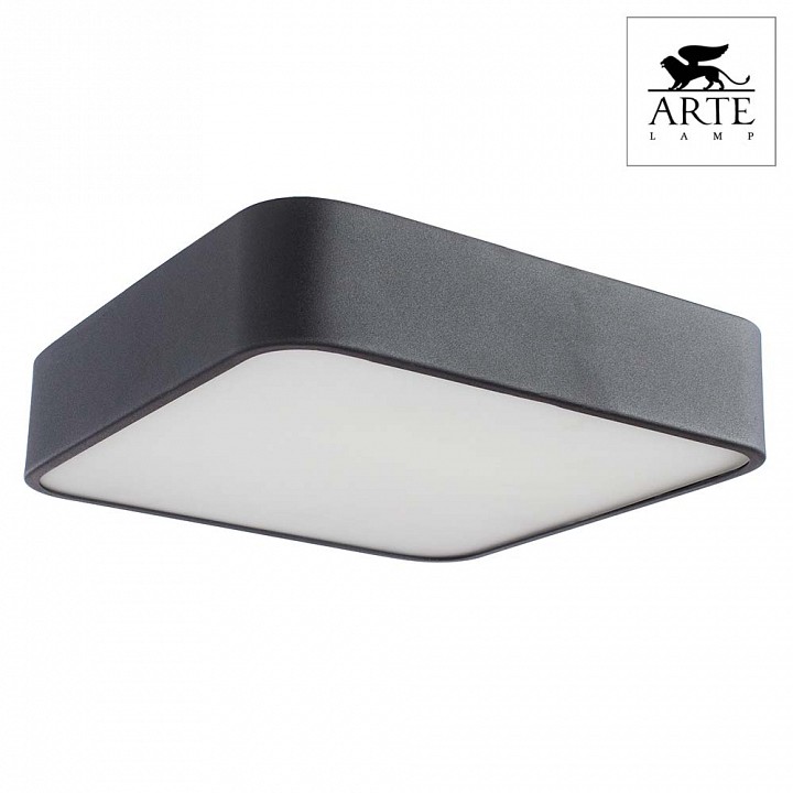 Фото 4 Накладной светильник - A7210PL-2BK - Arte Lamp Фото 4 Накладной светильник A7210PL-2BK в стиле модерн
