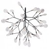 Фото 1 Подвесная люстра EVITA SP36 BLACK/TRANSPARENT в стиле модерн