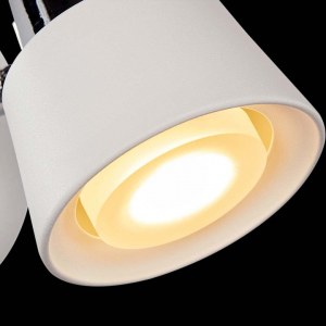 Детальное фото 1 Спот FR5258-WL-01-W в стиле техно