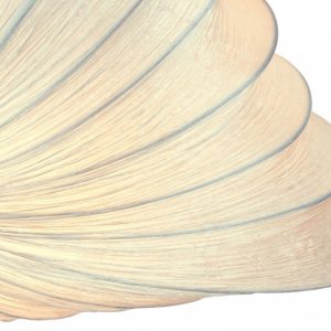 Детальное фото 4 Накладной светильник SL356.552.08 в стиле модерн